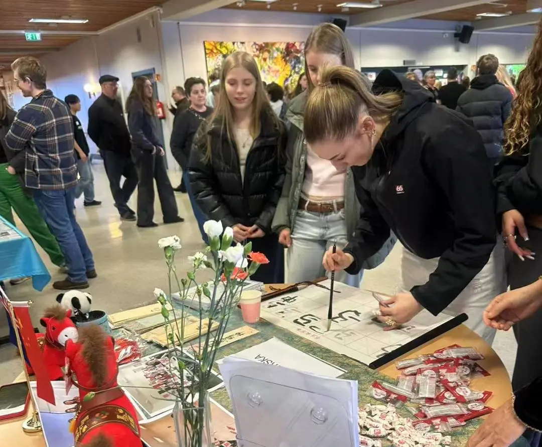 冰岛北极光孔子学院参加下设教学点哈姆拉利德高中开放日活动2
