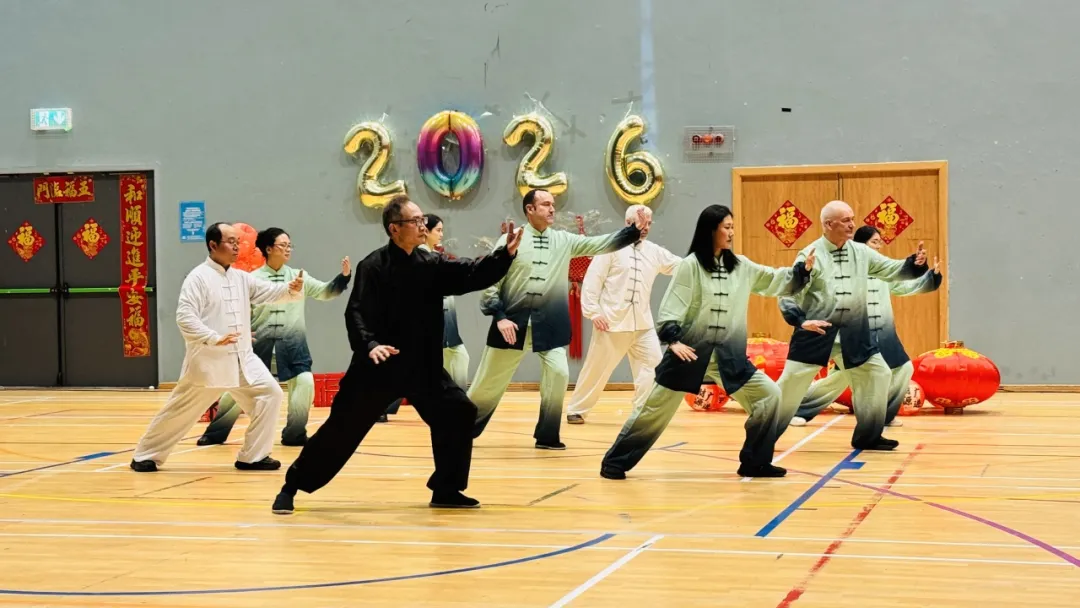 爱尔兰高威大学中医与再生医学孔子学院举办马年春节庆祝活动 图片