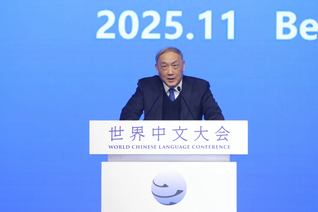 中国国际中文教育基金会理事长杨卫 图片